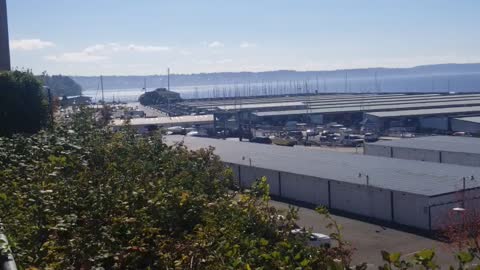 Des Moines Washington - Boat Harbor & Pier