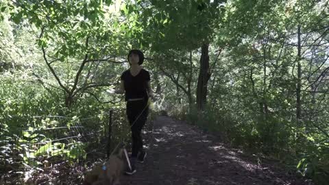 Asian Woman Walking Dogs in Park