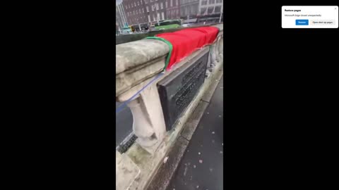 Palestinian flag is removed by Irish patriots from O'Connell Bridge 17th February 2024