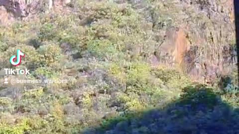 Blyde Canyon Safaris. This is a hippopotamus in the water of the dam they were riding in the boat.