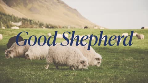 Good Shepherd