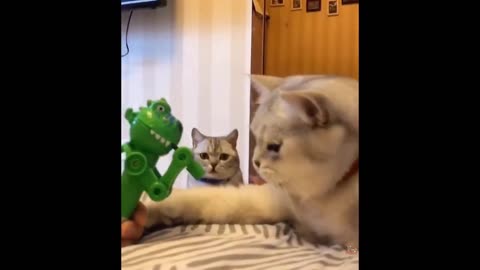 Try Not To Laugh or Grin While Watching Funny Cats and Dogs 2024