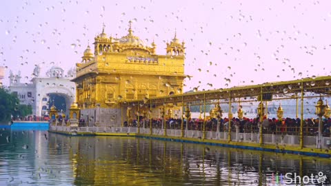 The golden temple,amritsar