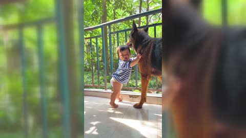 Little owner trusts dog