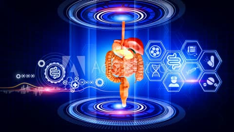 Digestive System "How the Digestive System Works ?