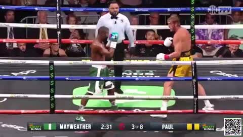 youtube star logan paul vs floyd mayweather