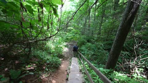 Blue Ridge Parkway Road Trip_ 4(00h31m51s-00h33m51s)