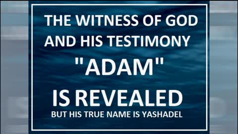 The REVEAL Of God's Witness