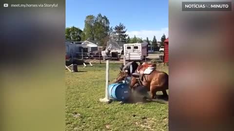 Cavalo rebelde decide levar dona para passear