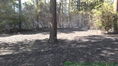 7 ACRES BURN NORTH OF LIVINGSTON, LIVINGSTON TEXAS, 07/13/22...