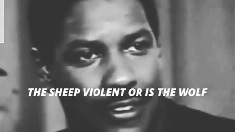 Denzel Washington: Sheep vs Wolf - The Wolves Don't Understand Common Sense