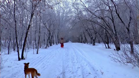 Dogs: Our best friends in health and illness.