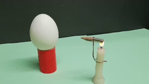 science a bullet fire on egg