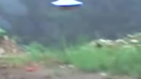 Tarbaca UFO 2007