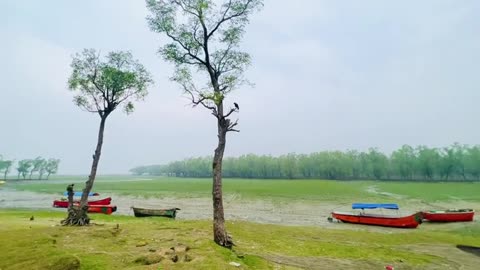 Nature view in Bangladesh