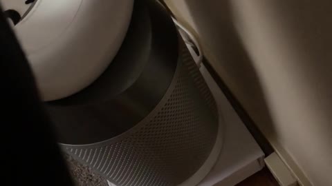 Air Purifier Exceeds Expectations