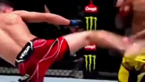 UFC MMA GAMEYAASU LIVE TV|Wheel heel kick KO Gone Sleep l UFC l MMA Shorts_1080p