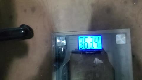 Weigh-In Feb 4, 2024