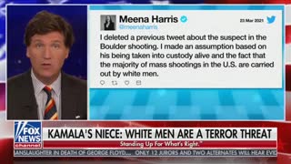 Tucker Carlson Tonight Refers To Prominent Progressive Activist As A 'Moron On Twitter'