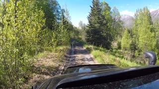 Summer Time, Old Seward Highway IIX