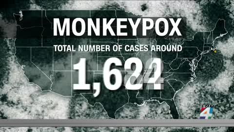 Monkeypox concerns