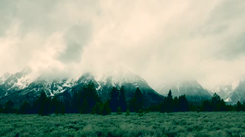 Yellowstone, Grand Teton National Park