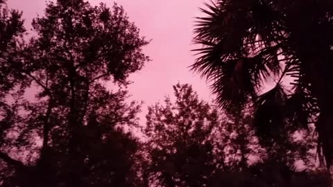 Sky Turns Neon Pink After Hurricane Michael