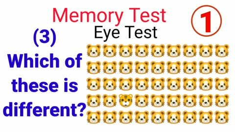 Memory Test videos | Eye Test videos | English learning Videos | Education Cartoon videos |