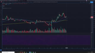 Crypto Analysis 2/13/2021