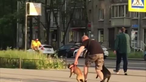 Guy Carries Two Dogs While Crossing the Road Then Continue Running