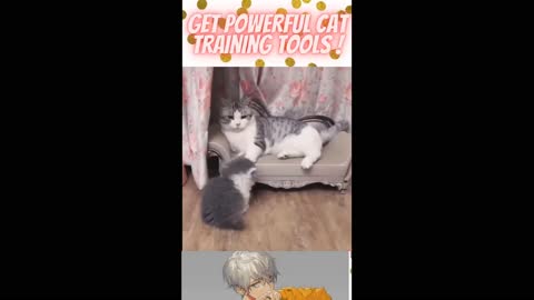 Funny cat reaction videos | Cat Training Tools #rumble #rumblevideo