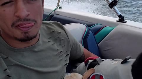 Doberman's reaction to speedboat