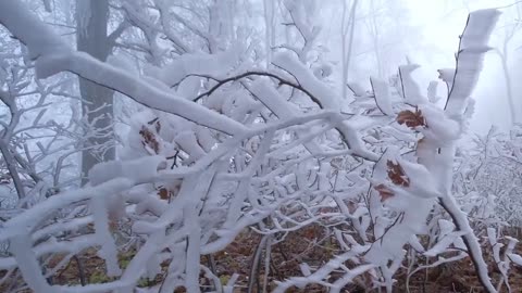 Massive snow storm Blizzard in Canada