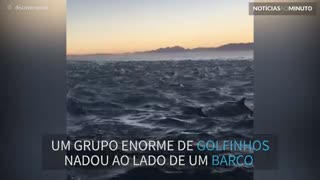 Grupo enorme de golfinhos acompanha barco durante o pôr do sol