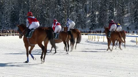 horses and riders in slow motion before White Turf Grand Prix