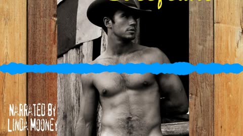 Chicken Fried Beefcake, a Sensuous, Humorous, Contemporary Romance