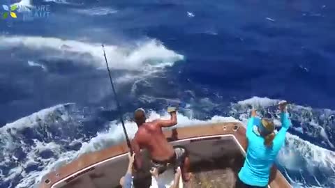 Top 5 Big Fish Caught in The Sea are Recorded By Cameras - Amazing Skills Catching Big Tuna fish