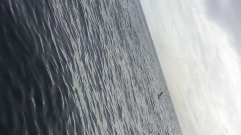 old russian boat still afloat, north atlantic ocean