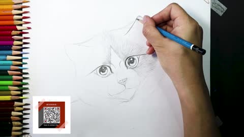 How to draw ragdoll cat/pencil drawing/sketch/Dessiner un Chat