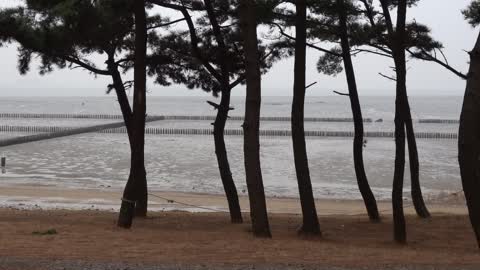 Beach view in bad weather. 2