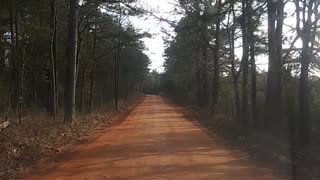 Country Road