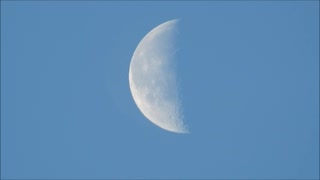 Morning Moon in 8 times speed