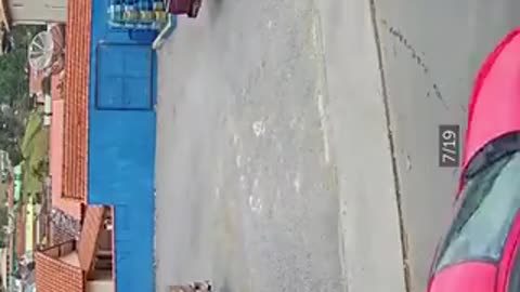 dog runs over man at high speed.