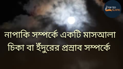 নাপাকি সম্পর্কে একটি মাসআলা চিকা বা ইঁদুরের প্রস্রাব সম্পর্কে