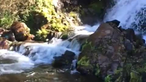 Waterfall outside Coyhaique, Chile