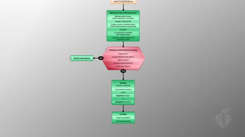 ACLS - 17 - Bradycardia