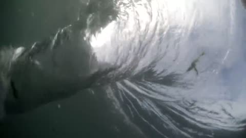 Swimming with a whirlpool (ocean whirlpool)