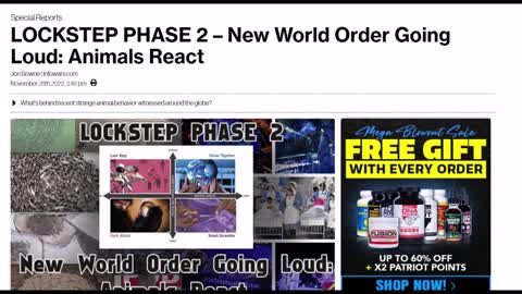 LOCKSTEP PHASE 2 – New World Order Going Loud Animals React