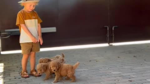 Cute boy play with cute dog kids