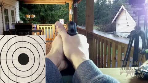 Daisy Powerline 617X and 008 CO2 Pellet-BB Pistol Field Test Shooting Video